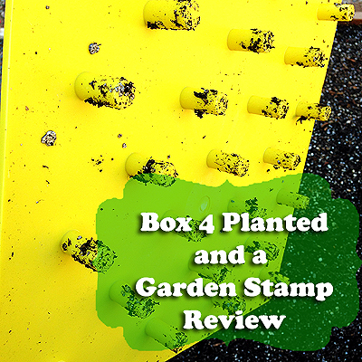 Box 4 & The Garden Stamp Review