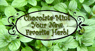 Chocolate Mint Goodness