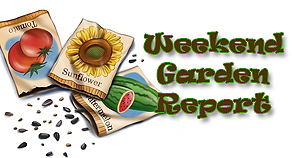 Weekend Garden Report