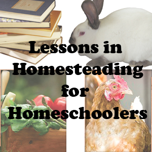 Homesteading Lessons
