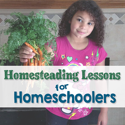 Homesteading Lessons for Homeschoolers by ImperfectlyHappy.com