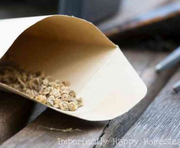 The Best Seed Catalogs