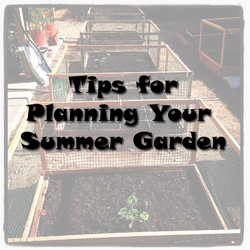 Planning Your Summer Garden