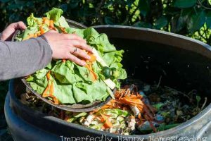 10 Things You Never Want to Compost