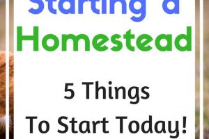 Starting a Homestead - 5 things you can start today. For homesteaders, backyard farms and urban farms.
