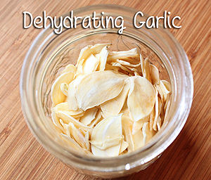 Dehydrating Garlic & Green Thumb Thursday