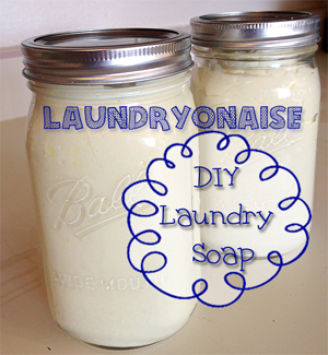 DIY Laundry Soap – Laundryonaise