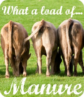 Green Thumb Thursday & What a Load of…Manure