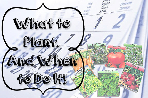 What to Plant and When to Do It