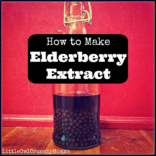 How To Make Elderberry Extract & Green Thumb Thursday