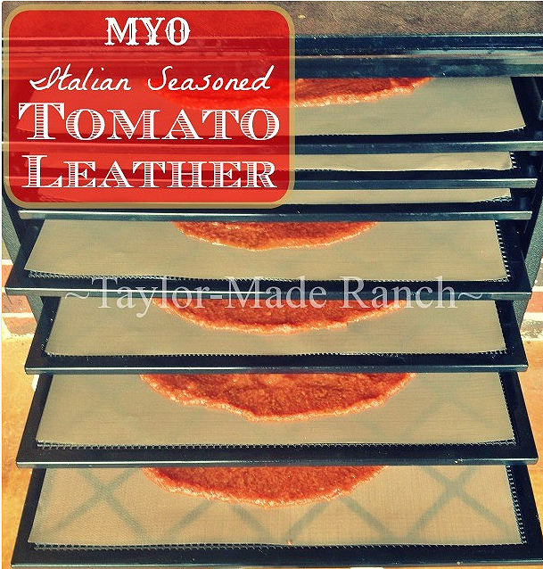 Seasoned Tomato Leather & Green Thumb Thursday