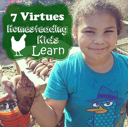 7 Virtues Homesteading Kids Learn