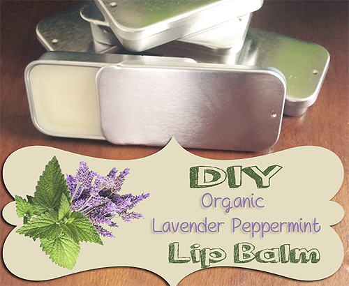 Best Organic Lip Balm Recipe - Organic Lavender Peppermint by ImperfectlyHappy.com