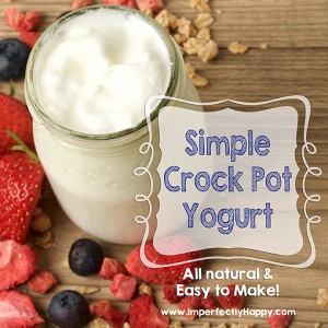 Simple Crock Yogurt Recipe - 2 ingredients! | by ImperfectlyHappy.com