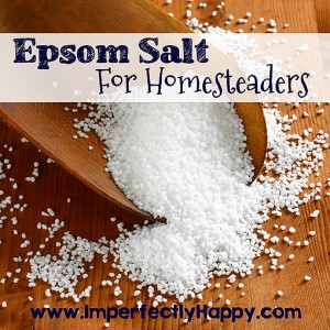 Epsom Salt for Homesteaders - How & Why to Use It! | by ImperfectlyHappy.com