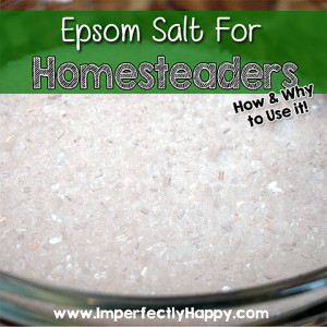 Epsom Salt for Homesteaders by ImperfectlyHappy.com