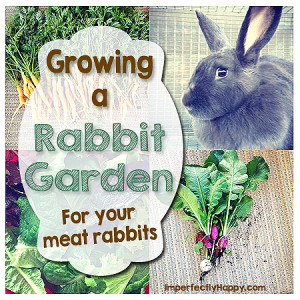 Growing a Rabbit Garden for Your Meat Rabbits by ImperfectlyHappy.com