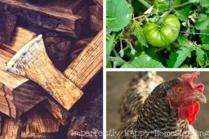 8 Keys to Self-Sufficiency for Homesteaders and Preppers.