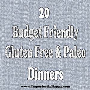 20 Budget Friendly Gluten Free & Paleo Dinners|via ImperfectlyHappy.com