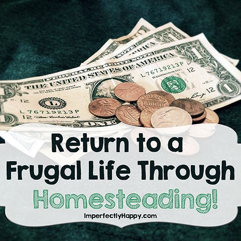 Return to a Frugal Life