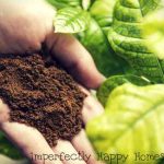 10 Ways to Recycle Coffee In The Garden and Homestead