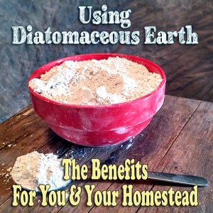 Using Diatomaceous Earth - the benefits for YOU & your homestead. | by ImperfectlyHappy.com