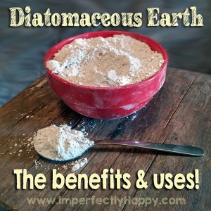 Using Diatomaceous Earth - the benefits for you & your homestead. | by ImperfectlyHappy.com