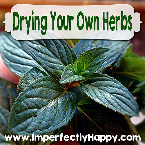 Drying Your Own Herbs