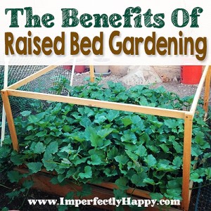 The Benefits of Raised Bed Gardening | by ImperfectlyHappy.com