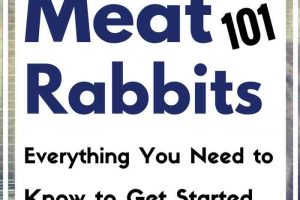 Getting Started with Meat Rabbits - everything you need to know. The perfect livestock for backyard farmers and urban homesteads!