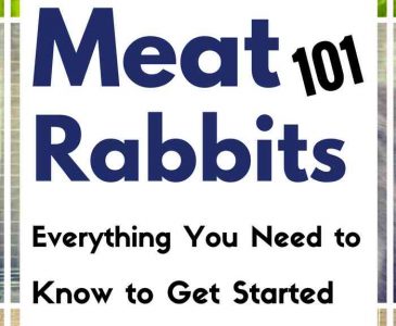 Getting Started with Meat Rabbits