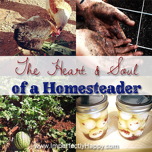 Homesteading Heart and Soul