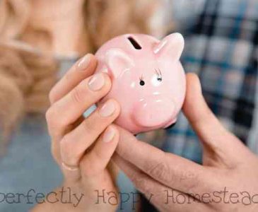 Living Within Your Means - Simple Tips to Help You Stick to Your Budget