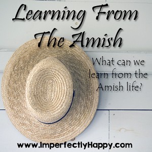 Learning from the Amish. What Can we learn from Amish Life?