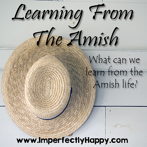 Learning From Amish Life
