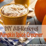 DIY Pumpkin Spice Creamer - All Natural & No Cooking Needed! | by ImperfectlyHappy.com