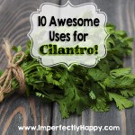 Using Cilantro - 10 Awesome Uses for Cilantro!