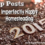 Tops Posts of 2015 from ImperfectlyHappy.com