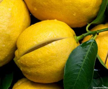DIY Lemon Extract