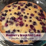 Blueberry Breakfast Cake - gluten free, grain free, Paleo | ImperfectlyHappy.com