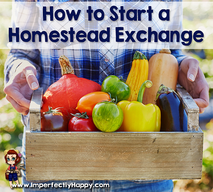 How to Start a Homestead Exchange