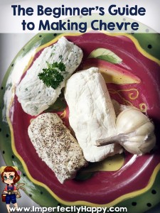 The Beginner's Guide to Making Chevre - a creamy and delicious goat cheese|ImperfectlyHappy.com