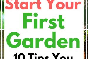 Start Your First Garden - 10 Tips You Need For Success When You're Gardening for the First Time