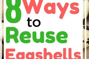 8 Fantastic Ways to Reuse Eggshells in the Garden, House and on the Homestead