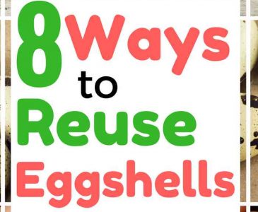 8 Fantastic Ways to Reuse Eggshells