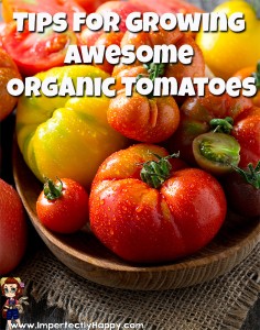 Tips for Growing Awesome Organic Tomatoes | ImperfectlyHappy.com