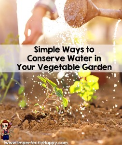 How to conserve water in your garden and still have an amazing harvest! |ImperfectlyHappy.com