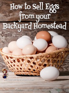 Selling Eggs from your backyard homestead - how to start a small egg business. | ImperfectlyHappy.com
