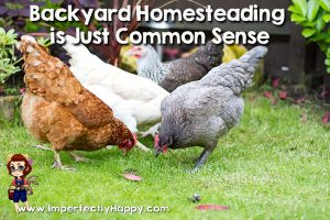 Backyard Homesteading is Just Common Sense |ImperfectlyHappy.com