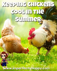 Keeping Chickens Cool in the Summer. Keep your flock cool and comfortable in the rising summer temperatures with these easy tips. | ImperfectlyHappy.com